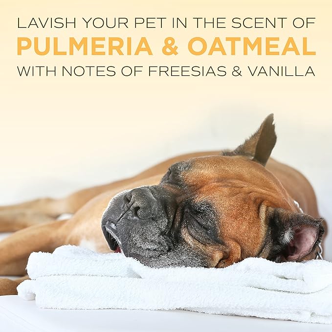 TropiClean SPA Lavish Dog Conditioner | Nourishing Conditioner For Dogs | Naturally Derived Salon Grade Ingredients | Made in the USA | 1 Gallon