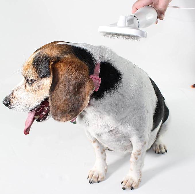 Penn-Plax Quick-Dry 2 in 1 Pet Grooming Tool – Doubles as a Dryer and Slicker Brush with 3 Air/Heat Settings – Safe for All Dogs and Cats