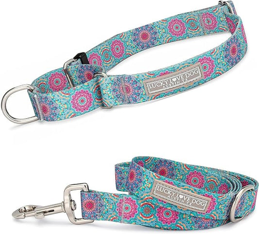 Lucky Love Dog, Boho Chic Martingale Dog Collar for Girl Boy Dogs, Premium No Slip Collar and Leash Set, Vivid Pink and Turquoise Martingale Collar for Dogs (Medium, Clara Mart - Combo)