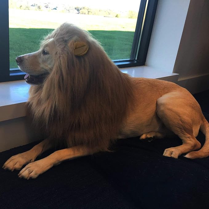 Basting Brush & Dog Lion Mane Constume-Love BBQ, Love Dog