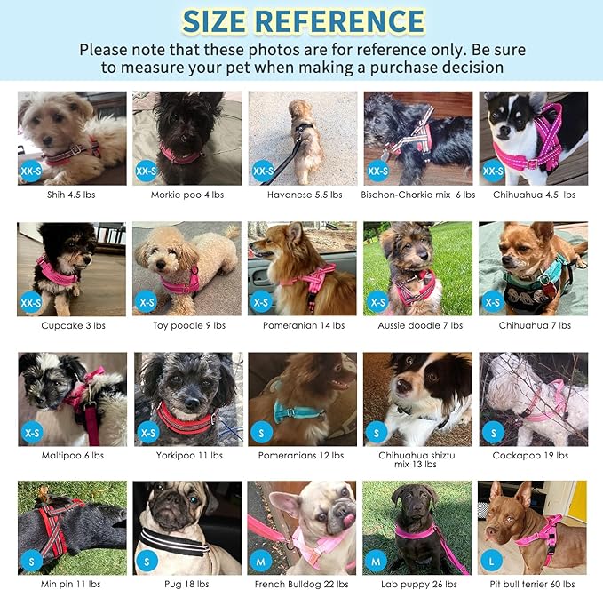 SlowTon No Pull Small Dog Harness and Leash Set, Puppy Soft Vest Harness Neck & Chest Adjustable, Reflective Lightweight Harness & Anti-Twist Pet Lead Combo for Small Medium Dogs (B-Front Clip,XXS)