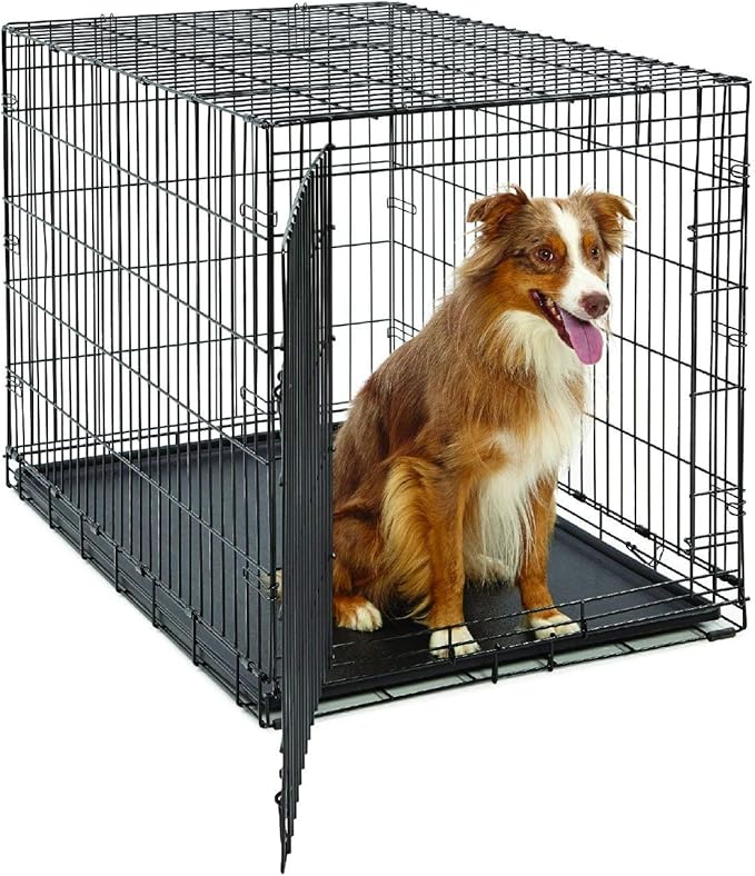 MidWest Homes for Pets Large Dog Crate | Midwest Life Stages Folding Metal Dog Crate | Divider Panel, Floor Protecting Feet, Leak-Proof Dog Pan | 42L x 28W x 31H Inches, Large Dog