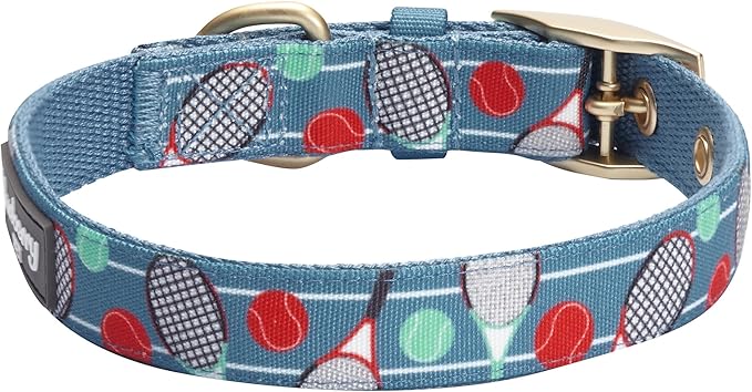 Blueberry Pet 5 Patterns Sports Fan Tennis Canvas Adjustable Dog Collar with Metal Buckle - Teal Blue, Neck 13-16.5", for Medium Breed