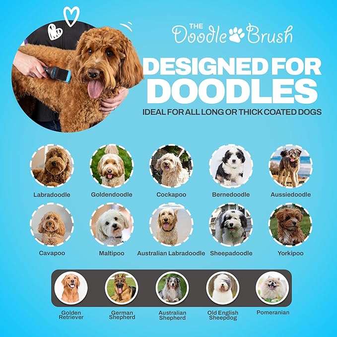Doodle Brush for Dogs – Dog Brush for Doodle, Goldendoodle, Bernedoodle, Poodles – Flexible Head Dog Detangler for Dematting - Brushes for Doodles - Slicker Brushes for Grooming - Single Head