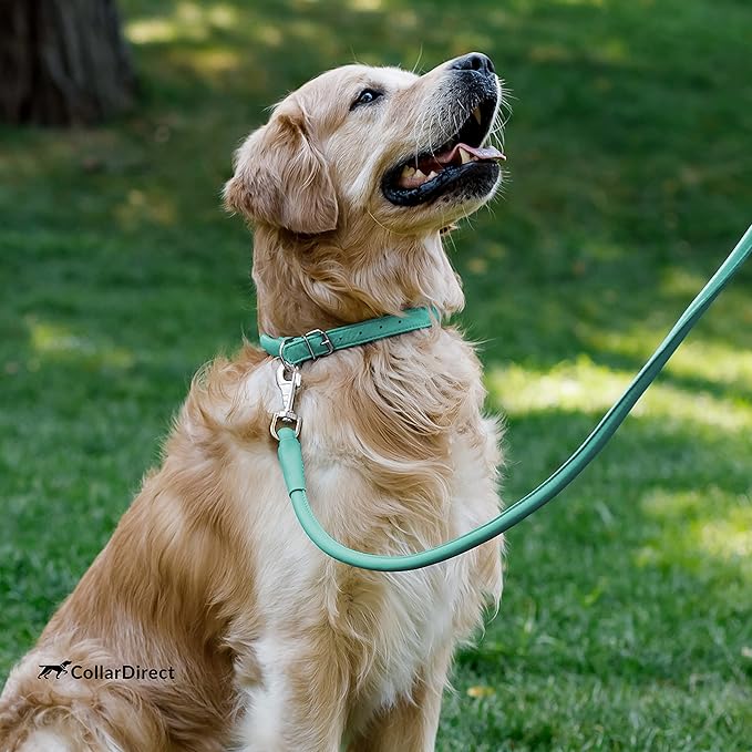 CollarDirect Rolled Leather Dog Collar, Soft Padded Round Puppy Collar, Handmade Genuine Leather Collar Dog Small Large Cat Collars 13 Colors (18-22 Inch, Mint Green Textured)