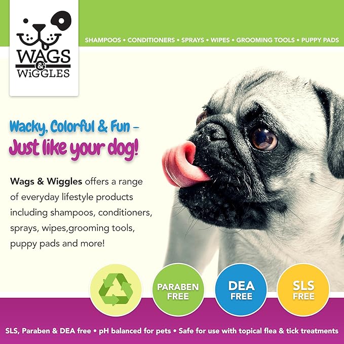 Wags & Wiggles Two-Sided Bristle and Squiggly Pin Brush for Small Dogs | Short Hair Dog Grooming Brush | Best 2-in-1 Grooming Supplies