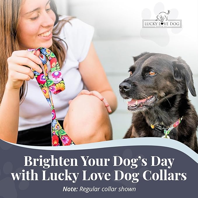 Lucky Love Dog Martingale Dog Collar - Adjustable, No-Slip, Durable, & Soft Webbing Dog Collar for Male and Female Dogs Ideal for Training & Walking - Stylish Blackbird Pattern, Medium Size