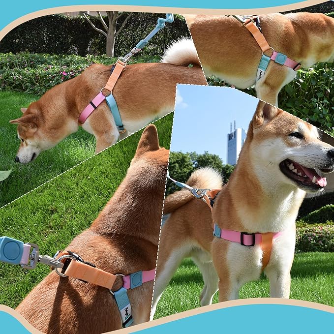 Tri-Color Dog Harness and Purple Pink Gradient Shock Absorbing Dog Leash Set,Step-in Freedom Dog Vest Harness,Strong Padded Handle to Help Stop Pulling for Large Dog Walking and Traning