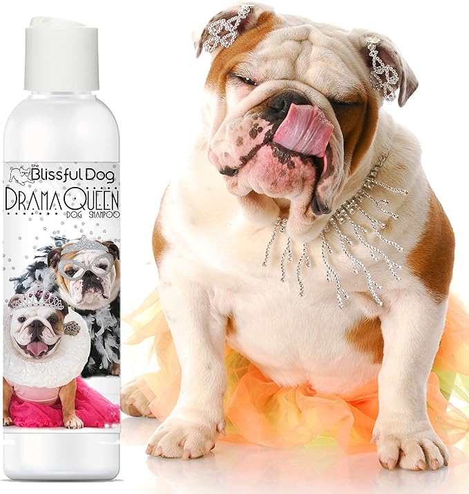 The Blissful Dog Bulldog Drama Queen Dog Shampoo, 16 oz.