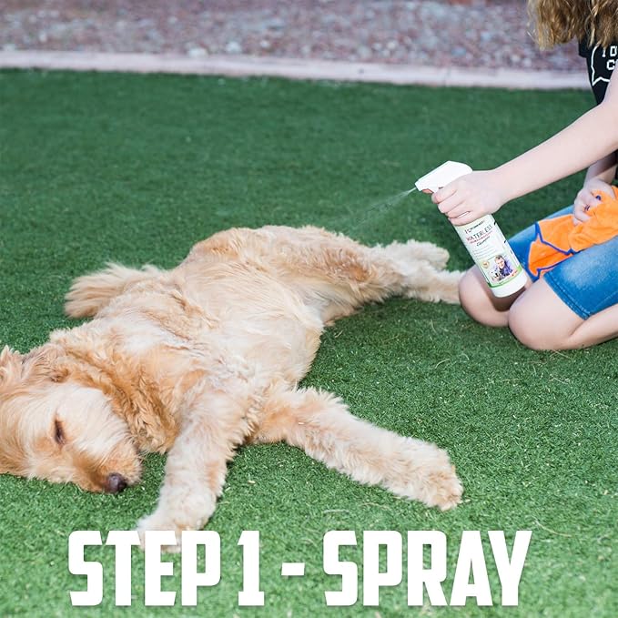 Waterless Dog Shampoo No Rinse Dry Shampoo for Dogs (16oz), Detergent and Alcohol Free, Apple Extract - Perfect for Spot Cleaning The Dog Coat - Made in USA