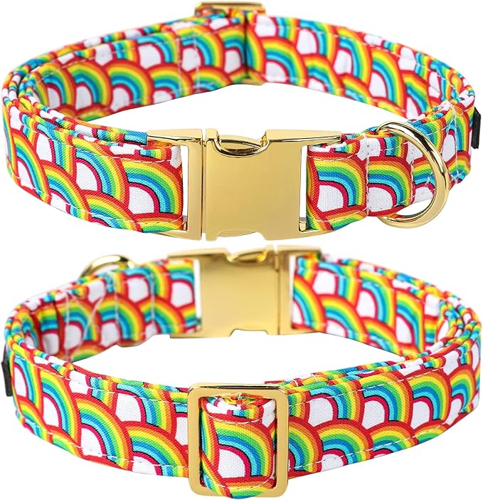 Lionet Paws Rainbow Female Dog Collar with Flower, Soft and Comfortable Adjustable LGBT Pride Collar for Dogs, Medium, Neck 13.5-22 inches