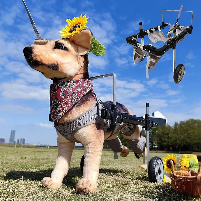 Dog Wheelchair,Lightweight Aluminum Frame with Handle,Extended Leg Straps,Includes Leash,Fits Pugs,French Bulldogs,and Schnauzers(Middle Size)/Beagle,Corgi,and Cocker Spaniel(Large Size)