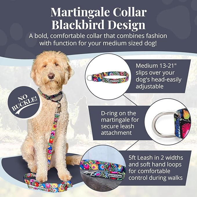 Lucky Love Dog Martingale Dog Collar - Adjustable, No-Slip, Durable, & Soft Webbing Dog Collar for Male and Female Dogs Ideal for Training & Walking - Stylish Blackbird Pattern, Medium Size