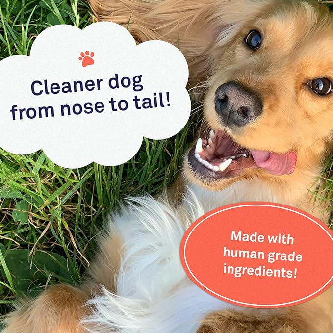 Petpost | Oatmeal & Chamomile Shampoo for Dogs with Dry Skin - Naturally Heals, Protects, Rejuvenates Dog Skin & Coat - Oatmeal, Chamomile, Aloe & Yucca Formula 16 oz.