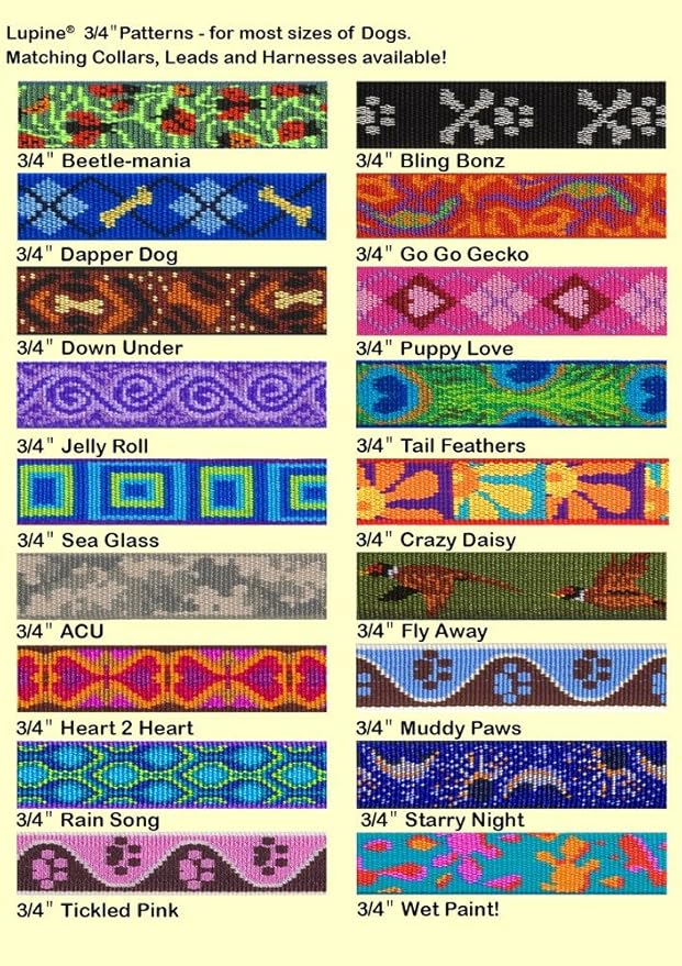 LupinePet Originals 3/4" Crazy Daisy 16-26" No Pull Harness for Small-Medium Dogs