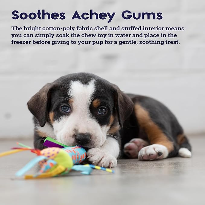 Petstages Cool Teething Stick for Dogs - Soothing Chew Toy for Teething Puppies - Freezable for Added Relief - Durable & Safe Dental Aid, Multicolor, One-Size