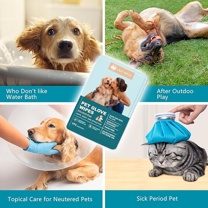 L&W BROS. Pet Wipes Gloves - Safe, Alcohol-Free, and Individually Packaged for Convenient Grooming Disposable Premium Flush-Free Dog Wipes Cleaning Deodorizing Hypoallergenic Wipes(Unscented 12PC)