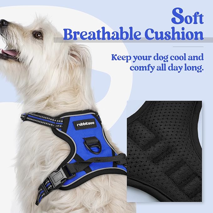 rabbitgoo Dog Harness, No-Pull Pet Harness with 2 Leash Clips, Adjustable Soft Padded Dog Vest, Reflective No-Choke Pet Oxford Vest with Easy Control Handle for Small Dogs, Dazzling Blue,XS