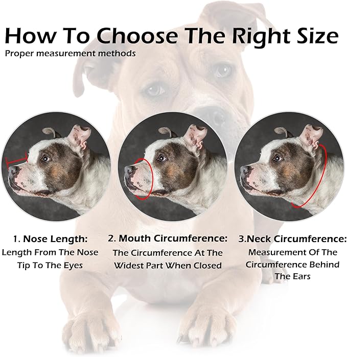 OOPSDOGGY Pitbull Dog Muzzle for Large Dogs - Leather Breathable Secure Basket Muzzle for Medium Large Breeds Prevents Biting No Chewing Amstaff Staffordshire Terrier (Black, Size 4 - Pitbull)