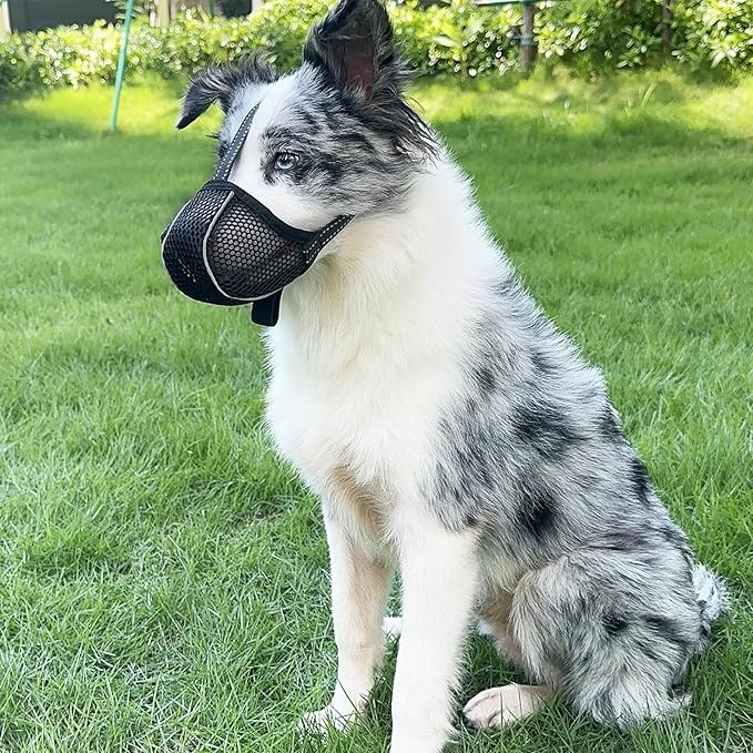 Large Dog Muzzle, Muzzle for Large Dogs to Prevent Eating/Chewing/Biting, Breathable Reflective Adjustable Medium Dog Accessories Dog Muzzle (Black, XL)