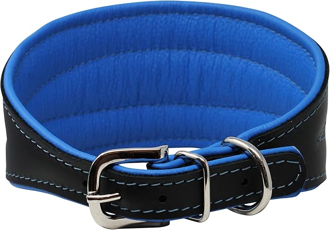 Real Leather Extra Wide Padded Tapered Dog Collar Glossy Black Greyhound Saluki Deerhound Lurcher Whippet Dachshund (16.25"-18.75" Neck; 3" Wide, Blue)