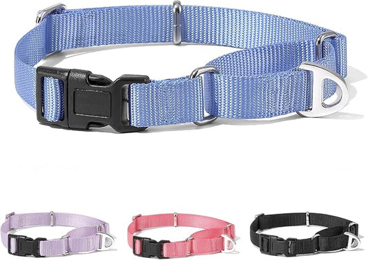 Rttochfy Martingale Dog Collars, Adjustable Nylon Dog Collar with Quick Release Buckle, No Choke Dog Training Collar for Small Medium Large Dogs (Blue, S)
