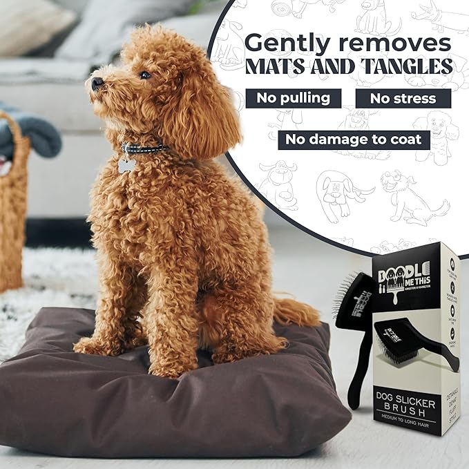 Slicker Brush for Goldendoodles and Long Haired Dogs Black Finish Long Stainless Steel Pins for Detangling and DeMatting Grooming Tool for Home by Doodle Me This Kingston and Hamilton