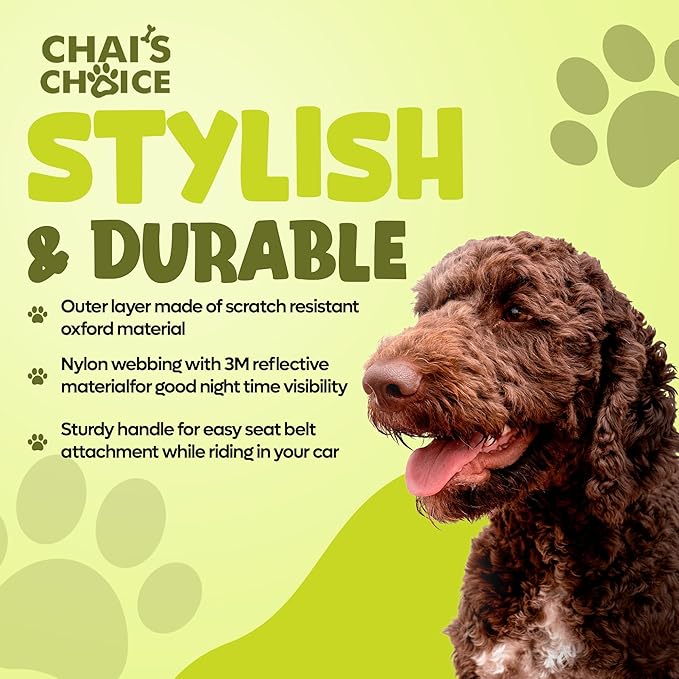 Chai's Choice Dog No Pull Harness Large (Neon Yellow) | Comfortable & Secure Adjustable Strap with Double Leash Clips | No-Choke & Easy Release | 3M Reflective Stripes for Dog Visibility