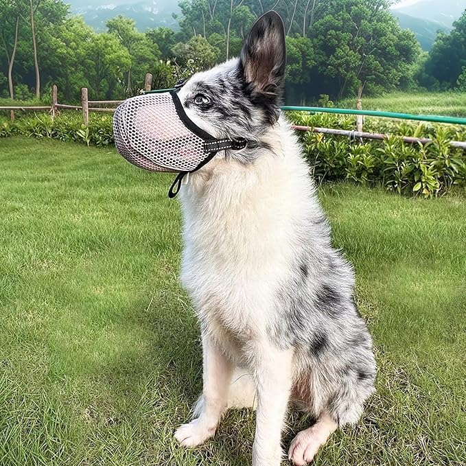 Large Dog Muzzle, Muzzle for Large Dogs to Prevent Eating/Chewing/Biting, Breathable Reflective Adjustable Medium Dog Accessories Dog Muzzle (Pink, S)