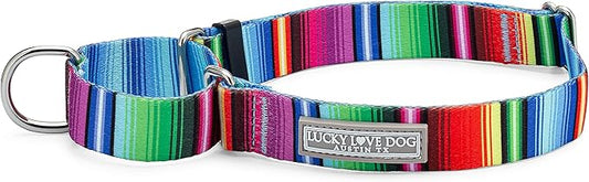 Lucky Love Dog Martingale Collar, Premium No Slip Collar, Colorful Striped Martingale Dog Collar for Medium Dogs, Great for Whippets, Greyhounds, and More (Medium, Nacho)