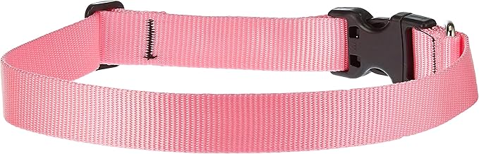LupinePet Basics 1" Pink 16-28" Adjustable Collar for Large Dogs