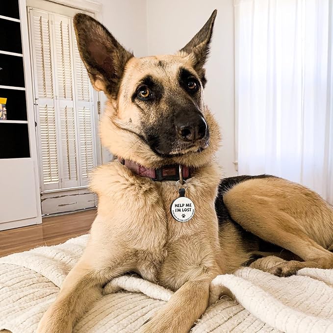 MYLUCKYTAG Silent Silicone QR Code Pet ID Tags Dog Tags - Pet Online Profile - Scan QR Receive Instant Pet Location Alert Email