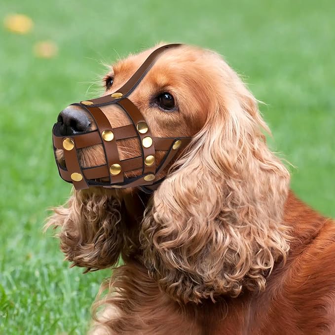 OOPSDOGGY Cocker Spaniel Dog Muzzle for Small Dogs - Leather Breathable Secure Basket Muzzle for Small Medium Breeds Prevents Biting No Chewing Adjustable (Brown, Size 1 - Cocker Spaniel)