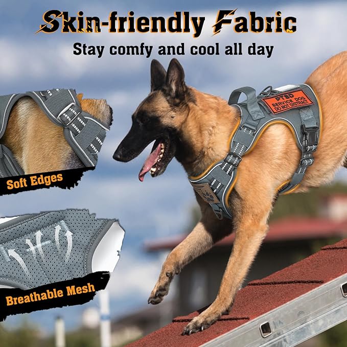 rabbitgoo Dog Harness Small Sized No Pull, Tactical Service Dog Vest with Molle and Control Handle, Adjustable and Reflective Military Pet Harness for Easy Walking and Training, Grey, S