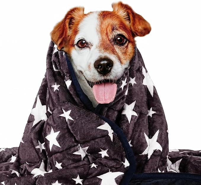LaSyL Blanket for Pets | Thunder Blanket for Dogs Anxiety | Premium Soft Minky | Relaxation & Calming & Anti Anxiety | Blue Grey Star, Washable Medium 32" L x 40" W