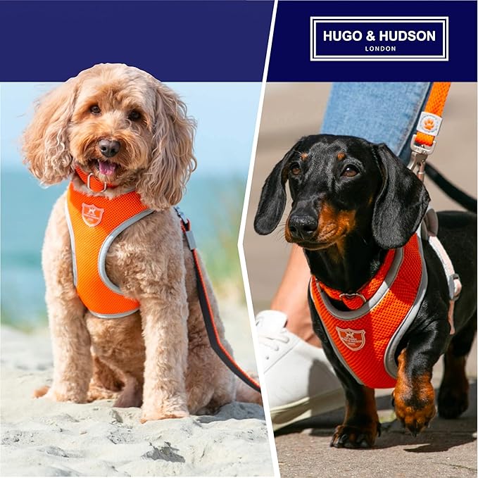 HUGO & HUDSON Dog Harness No-Pull Pet Harness Adjustable Quick Dry Mesh Padded Vest, Orange, XS