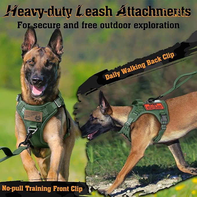 rabbitgoo Dog Harness Small Sized No Pull, Tactical Service Dog Vest with Molle and Control Handle, Adjustable and Reflective Military Pet Harness for Easy Walking and Training, Green, S