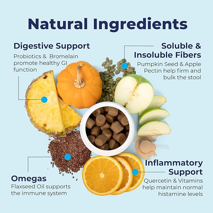 Glandex Anal Gland Soft Chew Treats with Pumpkin for Dogs Digestive Enzymes, Probiotics Fiber Supplement for Dogs Boot The Scoot (Pork Liver Chews, 60ct)