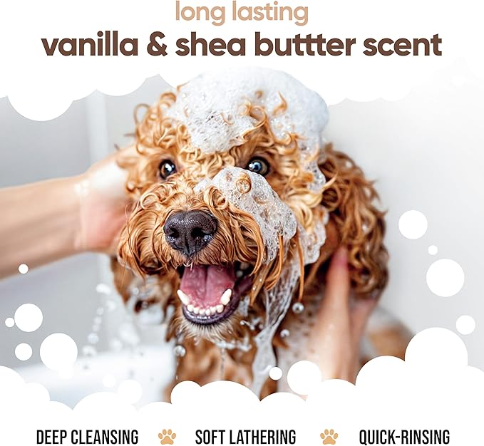 Vanilla & Shea Butter Dog Shampoo by Buddycare | Moisturising Shampoo for Dogs | Vanilla & Shea Butter Scented | with Aloe Vera and Pro Vitamin B5 (16.90oz)