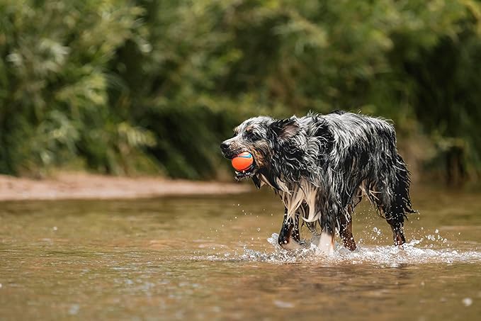 Chuckit! Gen 3 Fetch Medley Dog Balls - Includes the High-Bounce Fetch Ball, Floating Ultra Ball, and Rugged Ball - Durable Rubber Toys for Dogs 20-60 lbs - Size Medium - 2.5-inch Diameter - Set of 3