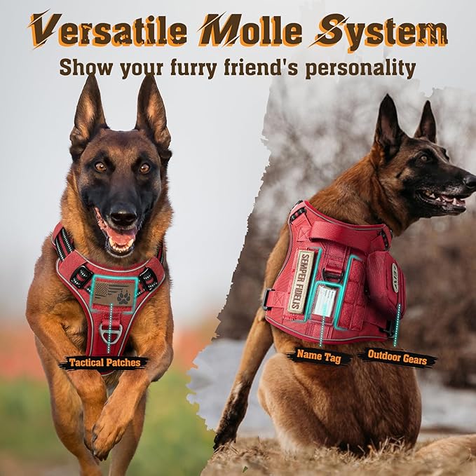 rabbitgoo Dog Harness Medium Sized No Pull, Tactical Service Dog Vest with Molle and Control Handle, Adjustable and Reflective Military Pet Harness for Easy Walking and Training, Red, M