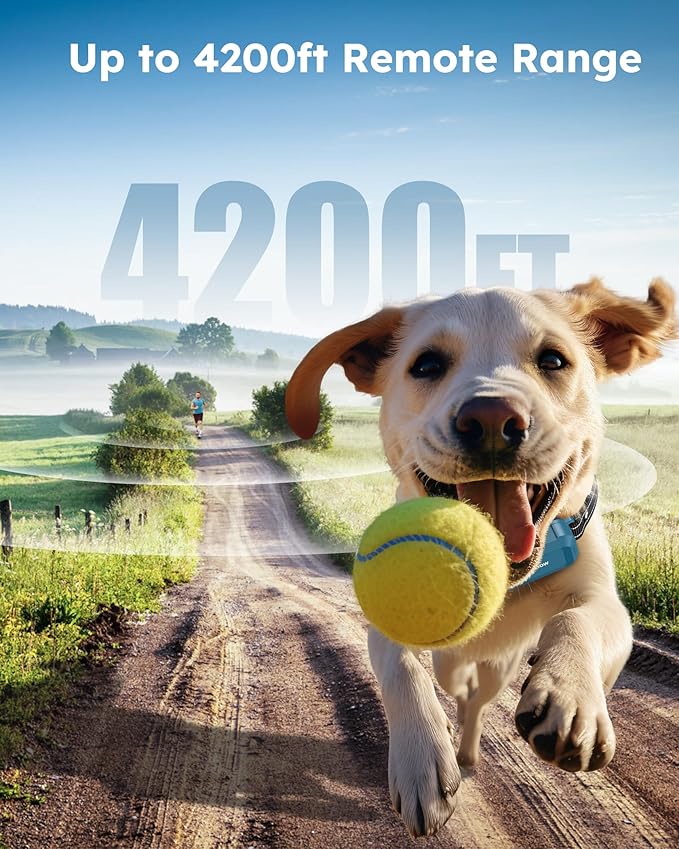 Jugbow Dog Shock Collar 2 Dogs - 4200FT Dog Training Collar with Remote, IPX7 Waterproof E Collar for Dogs Training Rechargeable Collars for Large Medium Small Dogs