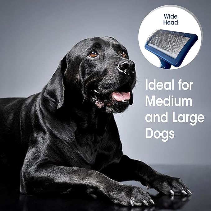 Four Paws Magic Coat Professional Series Grooming Brush for Dogs & Cats, Reduces Shedding, Stimulates Coat's Natural Oils, Ergonomic Design, Ideal for Medium, Long, Curly, and Wiry Coats