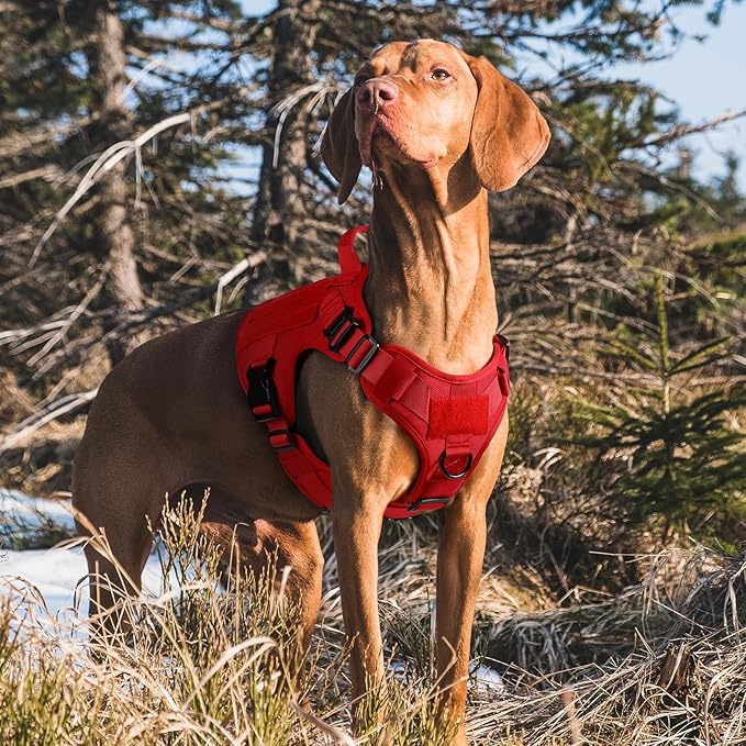 rabbitgoo Tactical Dog Harness for Large Dogs, Heavy Duty Dog Harness with Handle, No-Pull Service Dog Vest Large Breed, Adjustable Military Dog Vest Harness for Training Hunting Walking, Red, M