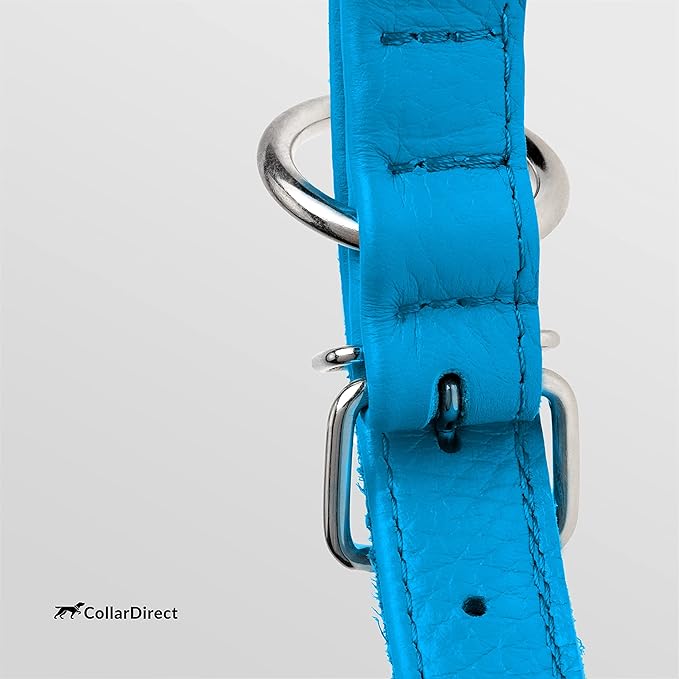 CollarDirect Rolled Leather Dog Collar, Soft Padded Round Puppy Collar, Handmade Genuine Leather Collar Dog Small Large Cat Collars 13 Colors (16-20 Inch, Blue Textured)'