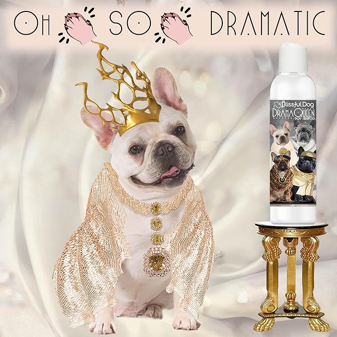 The Blissful Dog French Bulldog Drama Queen Dog Shampoo, 8 oz.