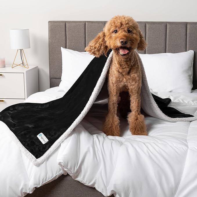 PetAmi WATERPROOF Dog Blanket for Medium Large Dog, Pet Puppy Blanket Couch Cover Protection, Sherpa Fleece Cat Blanket, Sofa Bed Furniture Protector Reversible Soft Plush Washable, 60x40 Black