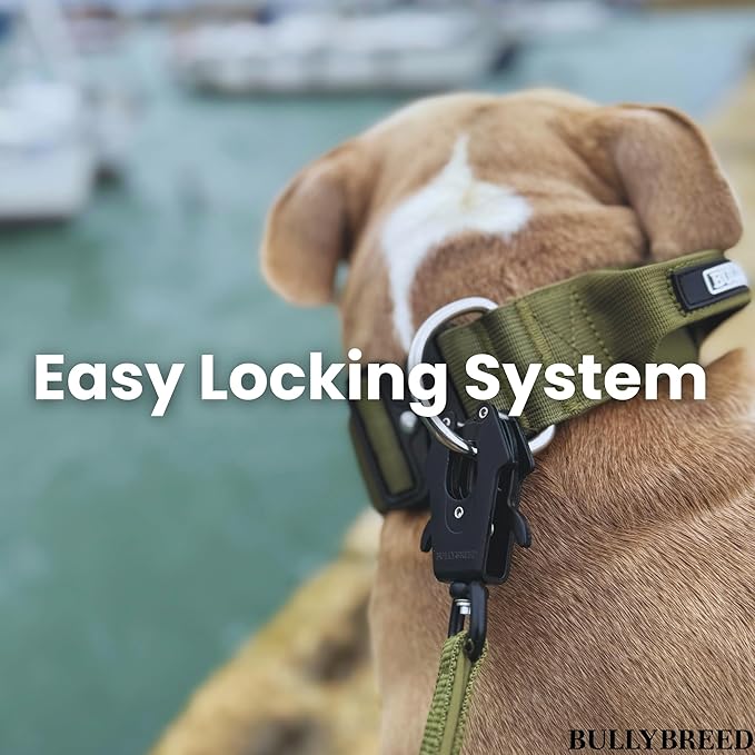 BULLYBREED Premium Dog Colar with Handle, Heavy Duty Dog Collar, Tactical Dog Collar, Quick-Release Metal Buckle, Thick Dog Collar, Dog Collar for Medium Dogs, Dog Collar for Large Dogs (Green, M)
