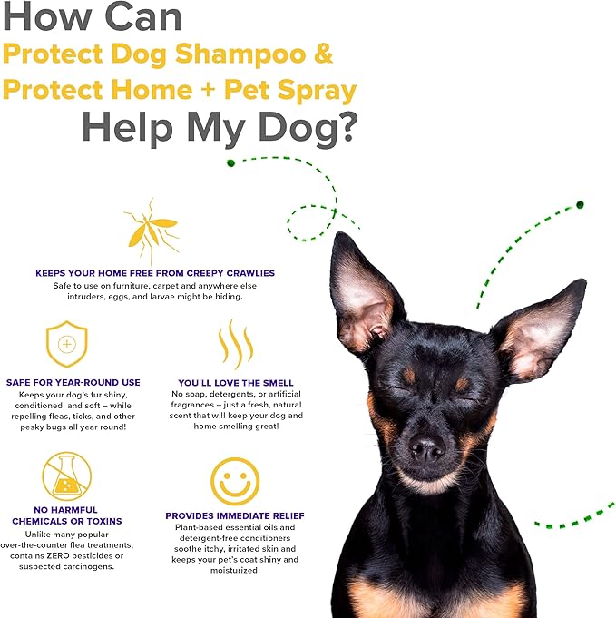 Protect Shampoo for Dogs; No More Scratching, Itching, or Hot Spots with Plant-Based All-Natural Formula with Healthy Essential Oils - Made in USA
