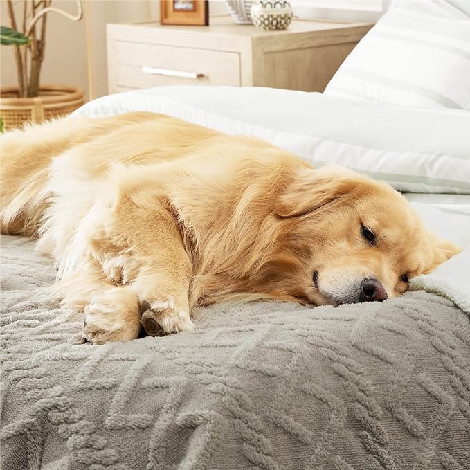 Bedsure Waterproof Dog Blanket for Large Dogs - Pet Blanket for Bed Couch Protector Washable, Jacquard Coral Fleece Cat Throw Blanket, Soft Plush Reversible Furniture Protection, 60x80, Pale Oak